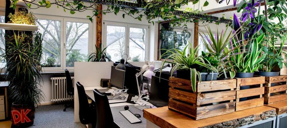 milkycode Coding Workspace